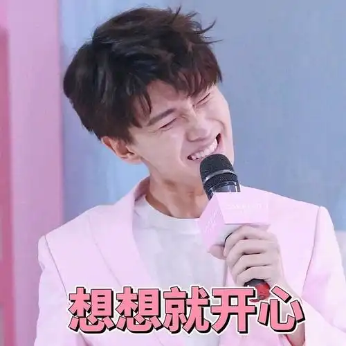 刚喜欢任嘉伦那会更新表情包