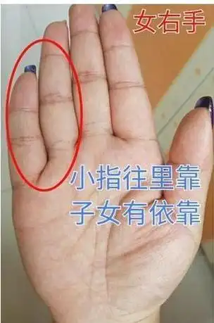 若出现三角纹注定是超级好命的手相男子必娶富婆女(千万富婆的手相)