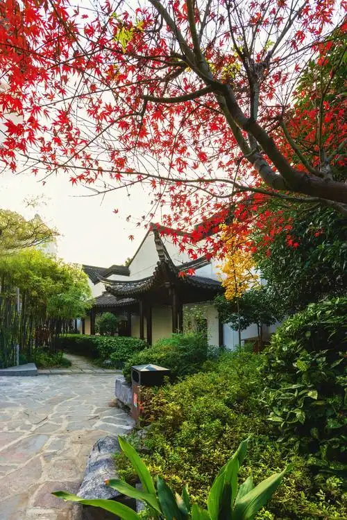 傍晚的中式园林甘熙宅第南京