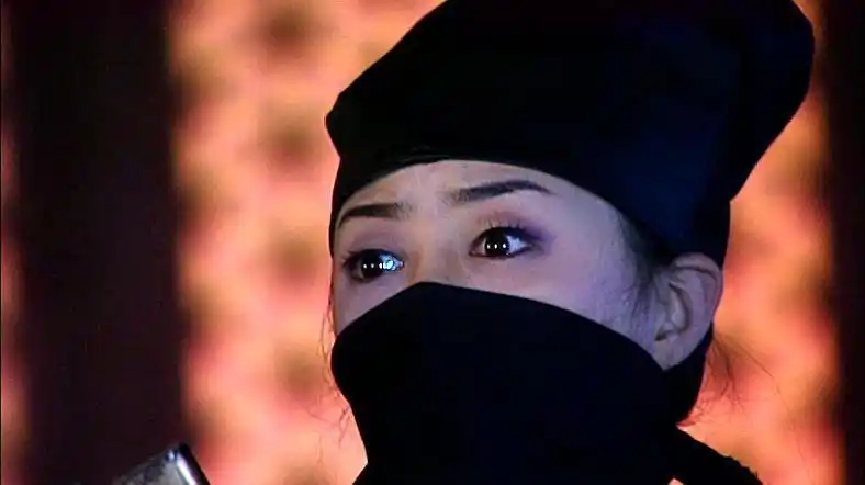 深夜一蒙面女刺客夜闯皇宫,不料被大网抓住,朱元璋震怒这下惨了