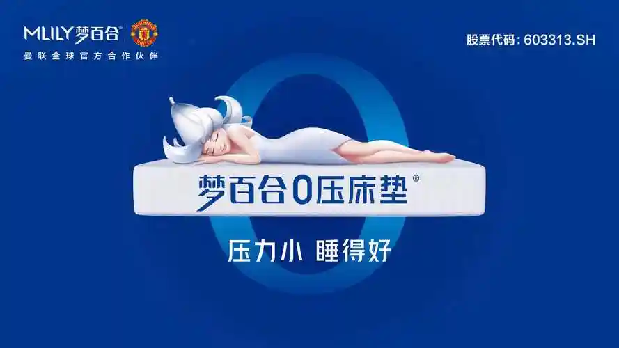 梦百合家居科技股份有限公司