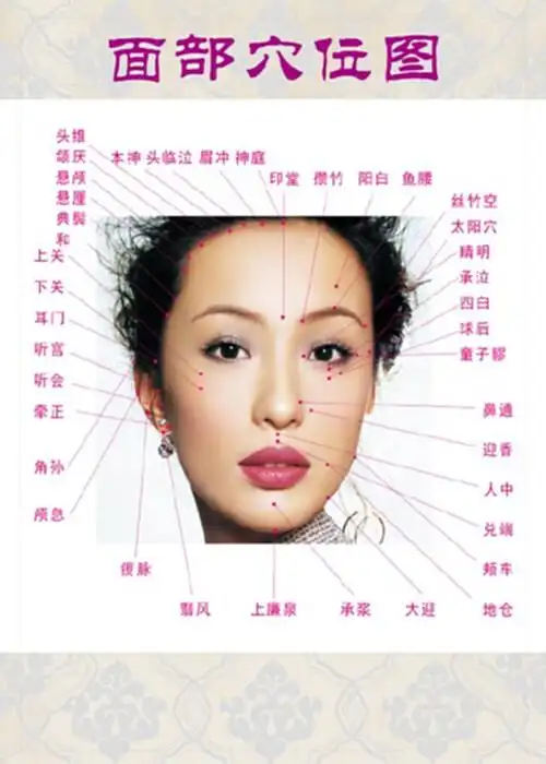 面部反射区大挂图院按摩保健火罐人体经络穴位图海报贴画展板