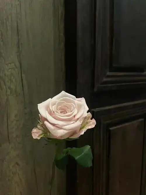 很有高级感的深色系壁纸背景图_网易订阅