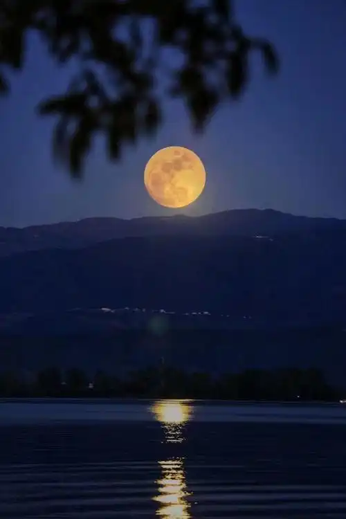 月光照亮我故乡