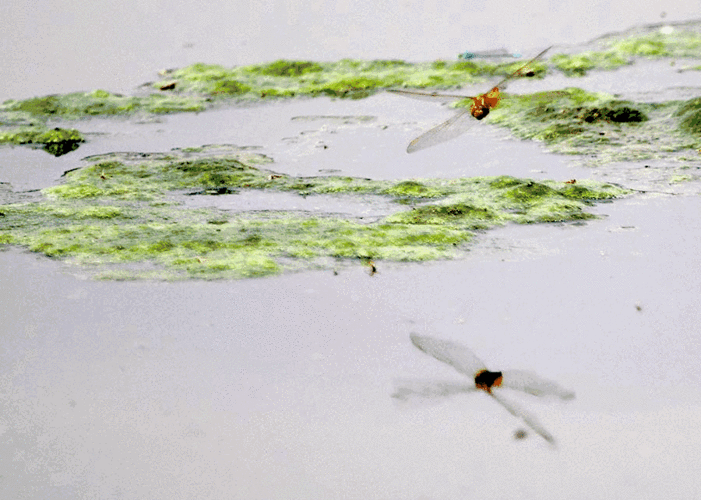 900_642gif 动态图 动图