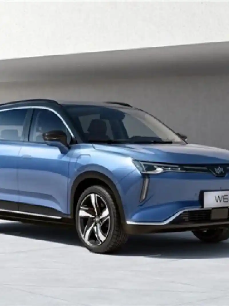 智能电动汽车的新标杆  以下是修改后的文字: 车型:威马w6 价格:22