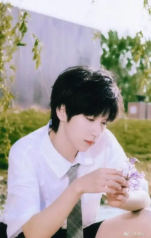 贺峻霖 画报颜值