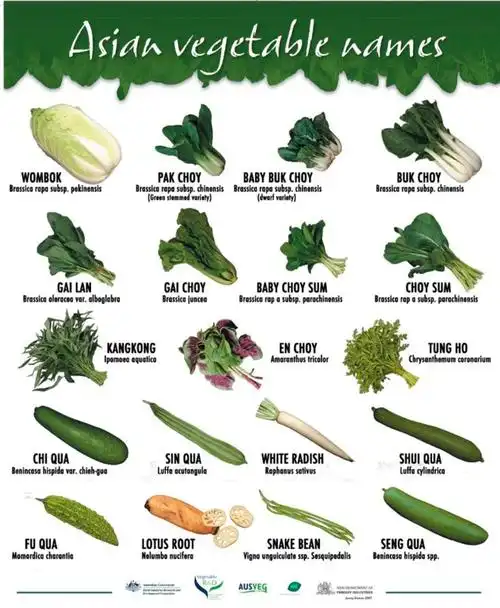 一定要知道中国常见蔬菜的英文名字