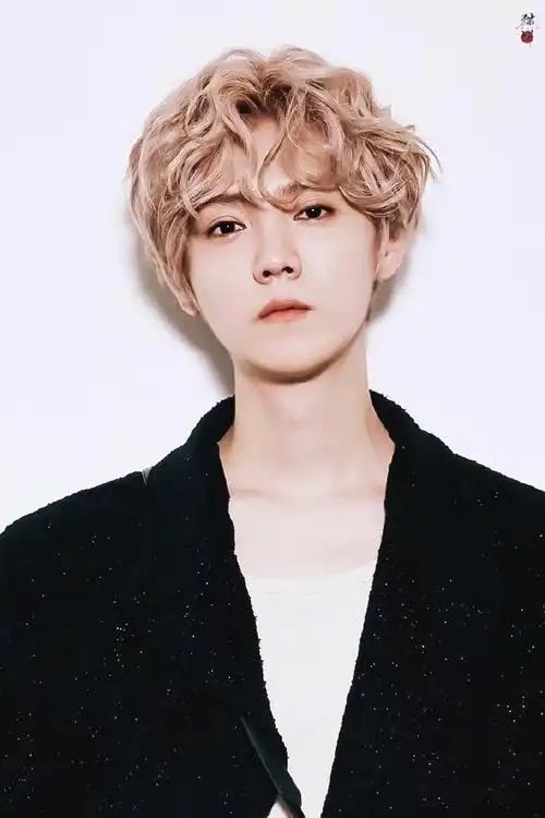 鹿晗金色卷毛造型