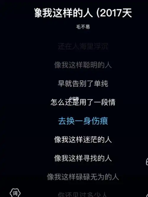 像我这样的人歌词模板