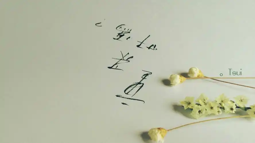 简约伤感文字创意唯美意境高清壁纸