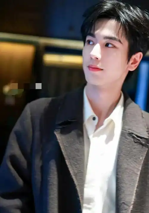 内娱男艺人颜值排名林更新18许凯15成毅第9刘学义第2谁能登顶