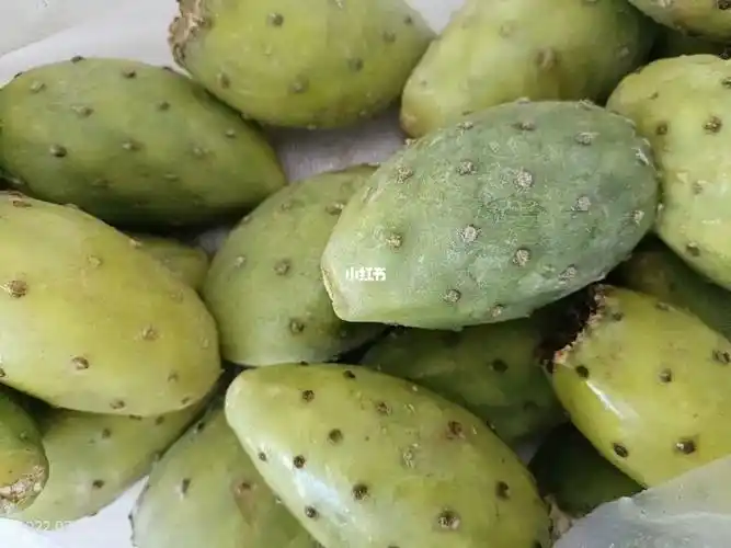 仙人掌91果真的太太太好吃了