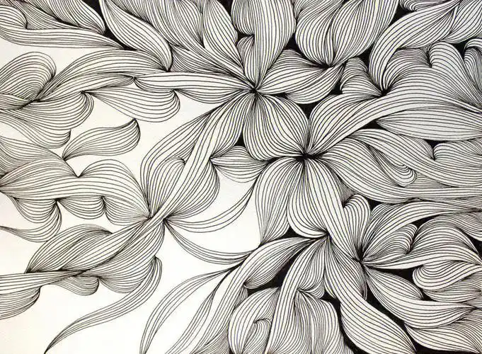 黑白线条练习针管笔第一步