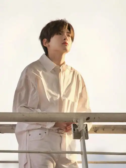 翟潇闻落日余晖里告别202178