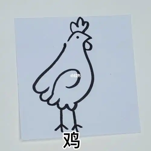 鸡简笔画练习