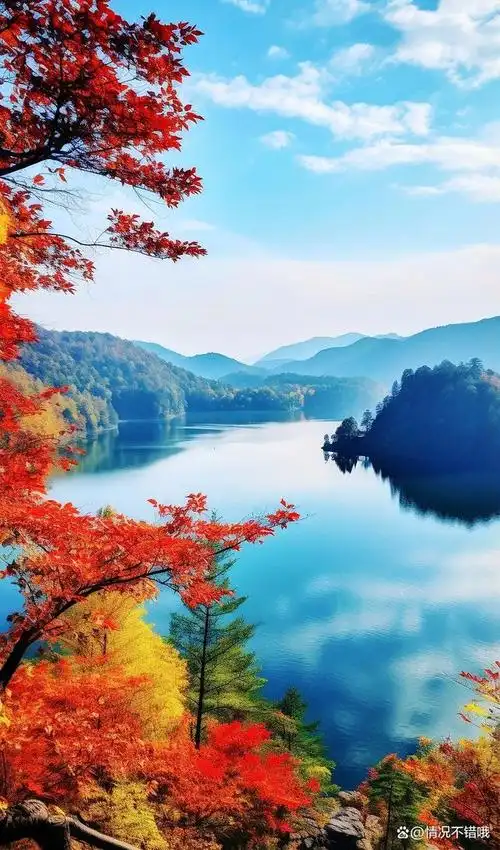 秋日的美丽风景