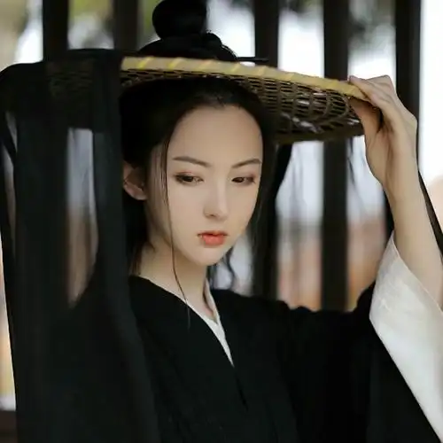 戴斗笠的黑衣女侠客