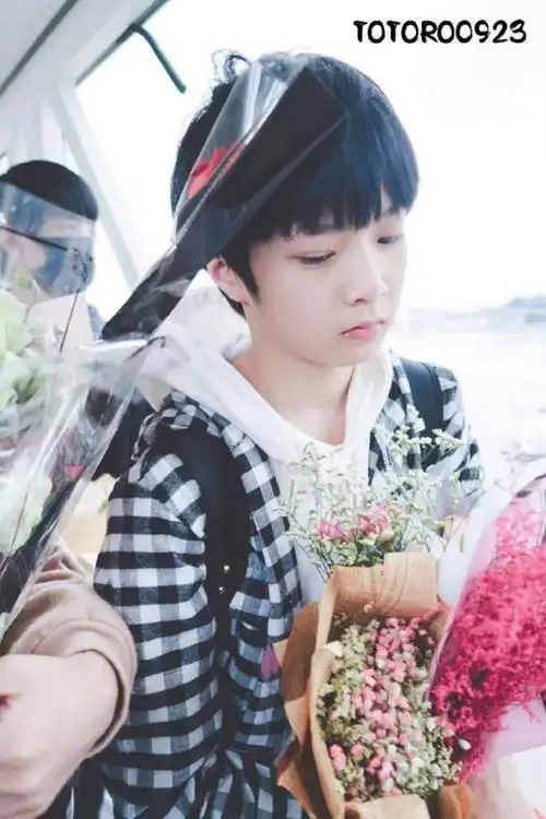 刘耀文 十九赫辰势破渊颂无虞