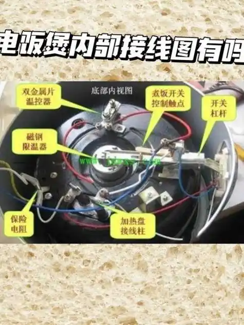 电饭锅底部接线图苏泊尔压力锅定时器插头接线线色排列多功能电热锅