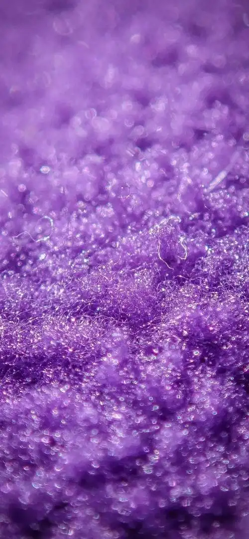 紫紫紫色系壁纸出道了