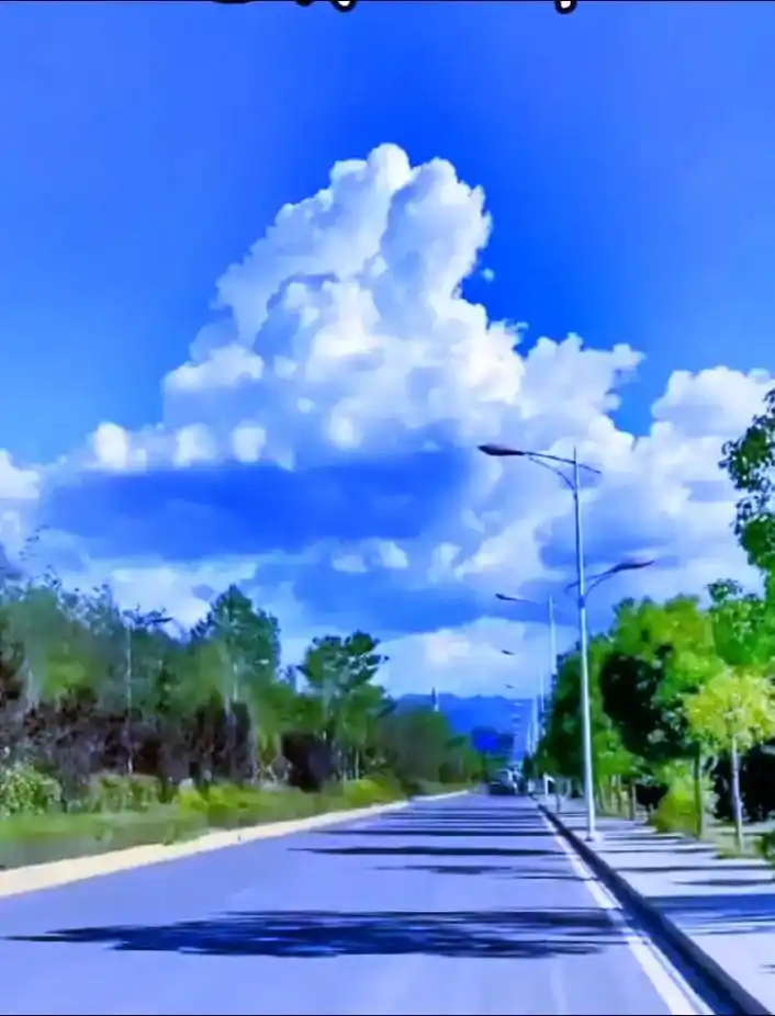 经典伤感歌曲《一路向北》 《一路向北》是著名歌手冷漠演唱的一 - 抖