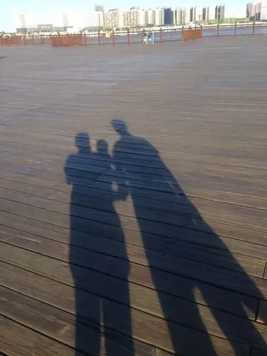 10楼 嘿,一家三口到海边散步,哈…影子被夕阳拉得好长好长