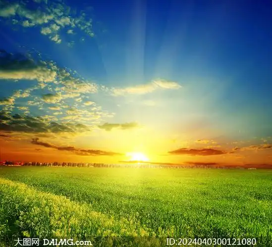 早晨阳光下的蓝天白云草地摄影图片