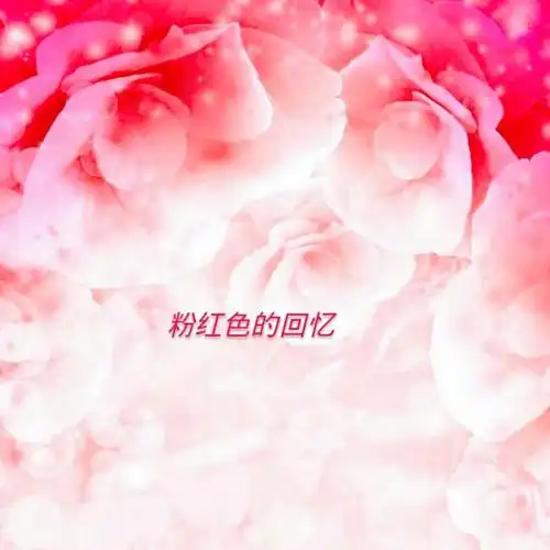 粉红色的回忆【湖南卫视版】