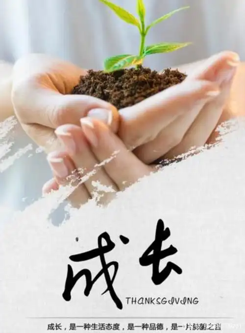 在成长中收获美好