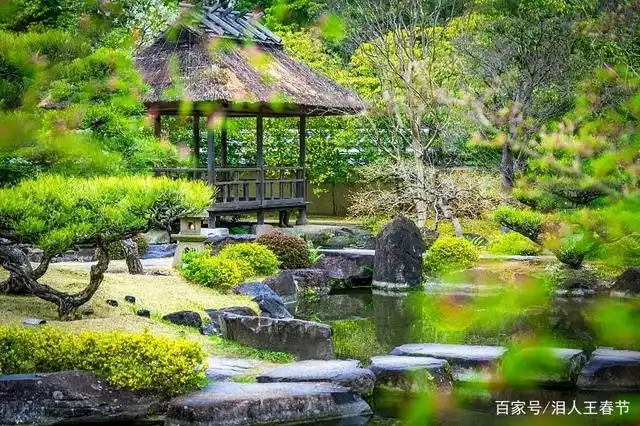 中式园林设计中怎样打造出极佳的水池?做好这三点就行!