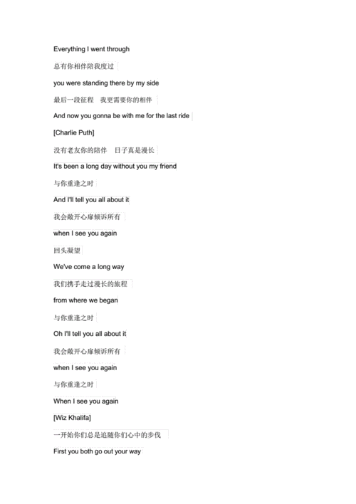 seeyouagain中英文翻译歌词docx6页