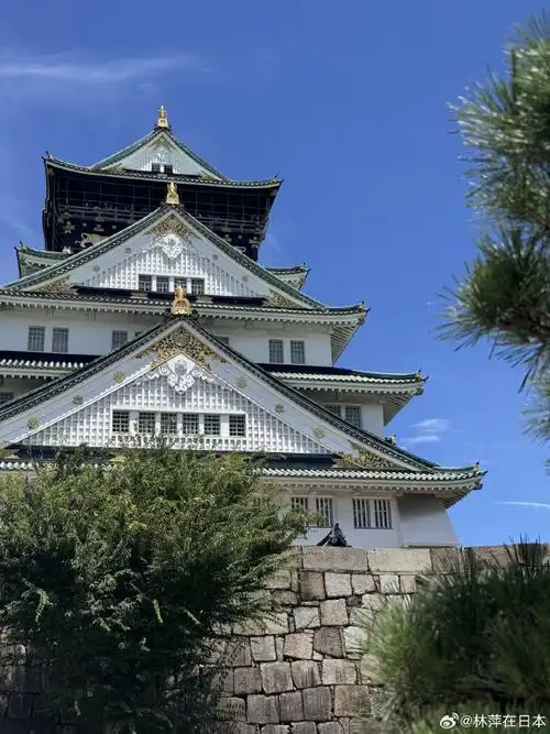 690_920竖版 竖屏