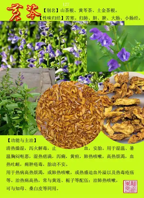 中草药300种图谱