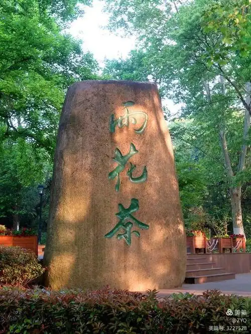 陵园西区的雨花茶文化区