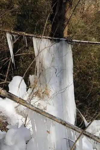 中心/关惠文 审核:县融媒体中心/文诚勇 编辑:县融媒体中心/朱双双