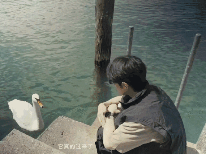 肖战很热爱大自然,对于动物也充满热爱.