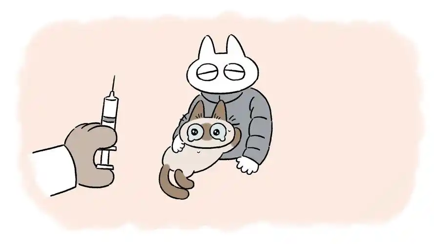 【暹罗猫小豆泥】从小到大都害怕打针的小豆泥之动画第20弹