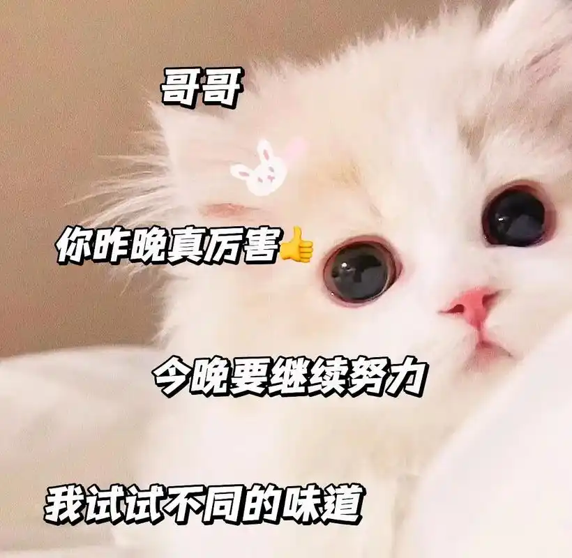 猫咪表情包 #发给对象表情包 #撩男朋 - 抖音