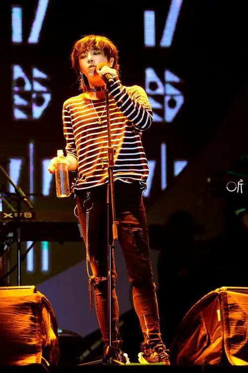 华晨宇__华绒绒