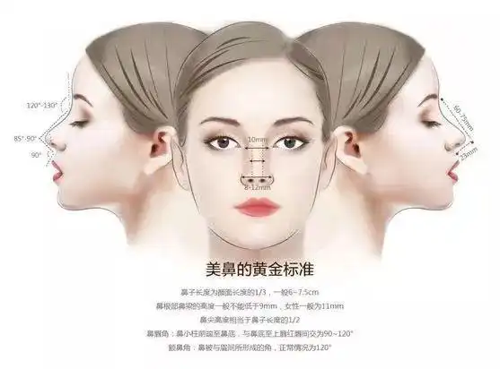 宫羽私人订制|明星都100%高鼻梁?只是她们"整"得好而已!