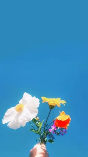 治愈系的蓝色!我最喜欢的颜色! - 堆糖,美图壁纸兴趣社区