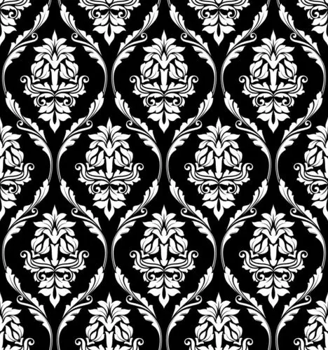 矢量的黑色花纹背景