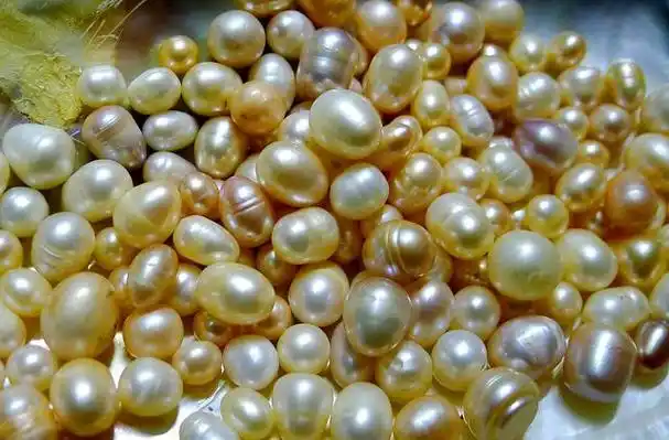 珍珠是一种珍贵的宝石,它们具有独特的光泽和美丽的外观,因此一直被