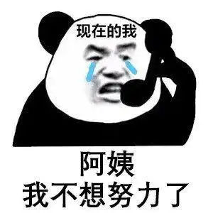 现在的我 阿姨我不想努力了