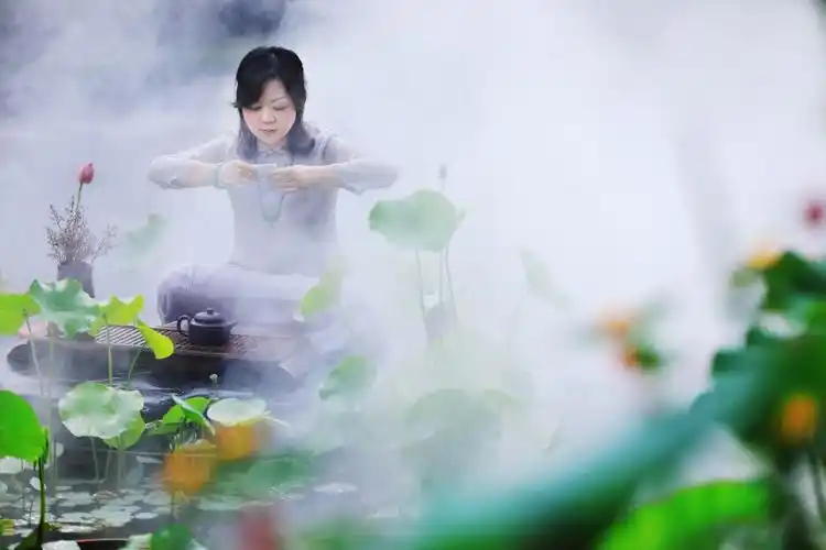 心静如水 荷塘月色一样美