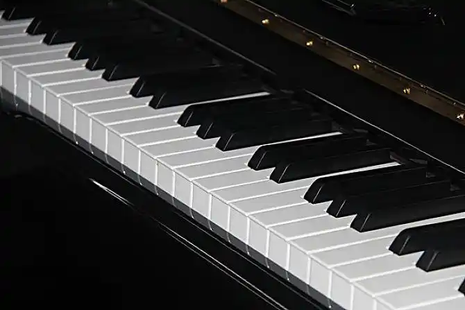 钢琴琴键
