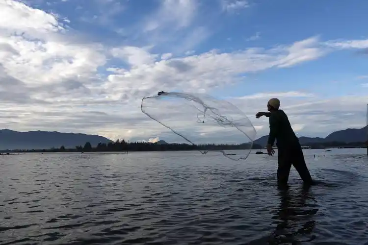 11月23日,渔夫在印度尼西亚班达亚齐郊外的红树林撒网捕鱼.