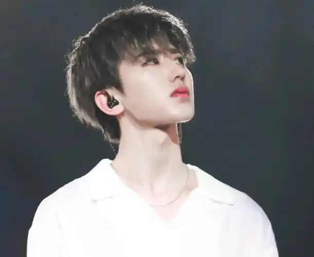 风水师5年前成功预言蔡徐坤,今预言王宝强:牢狱灾显露_处理_面相_马蓉