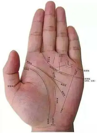 生命线电视剧免费完整在线观看,生命线电视剧全集完整版最新剧情在线